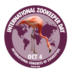 American Flamingo IZD logo