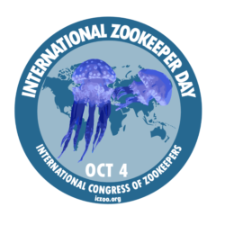 Jelly Fish IZD logo