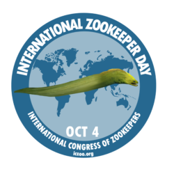 Moray Eel IZD Logo